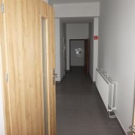 Lokal na wynajem