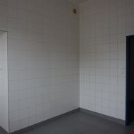 Lokal na wynajem