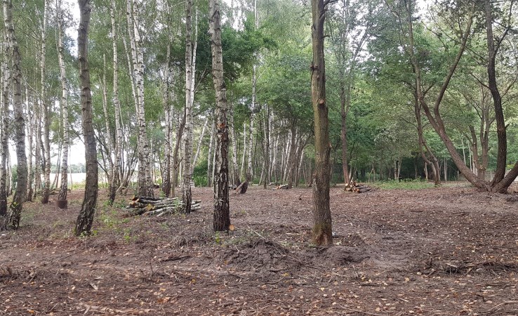 działka na sprzedaż - Wodzierady, Pelagia