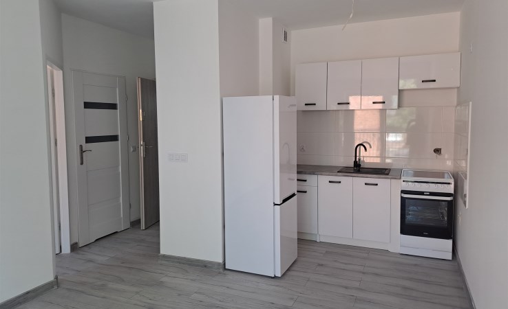apartment for rent - Pabianice
