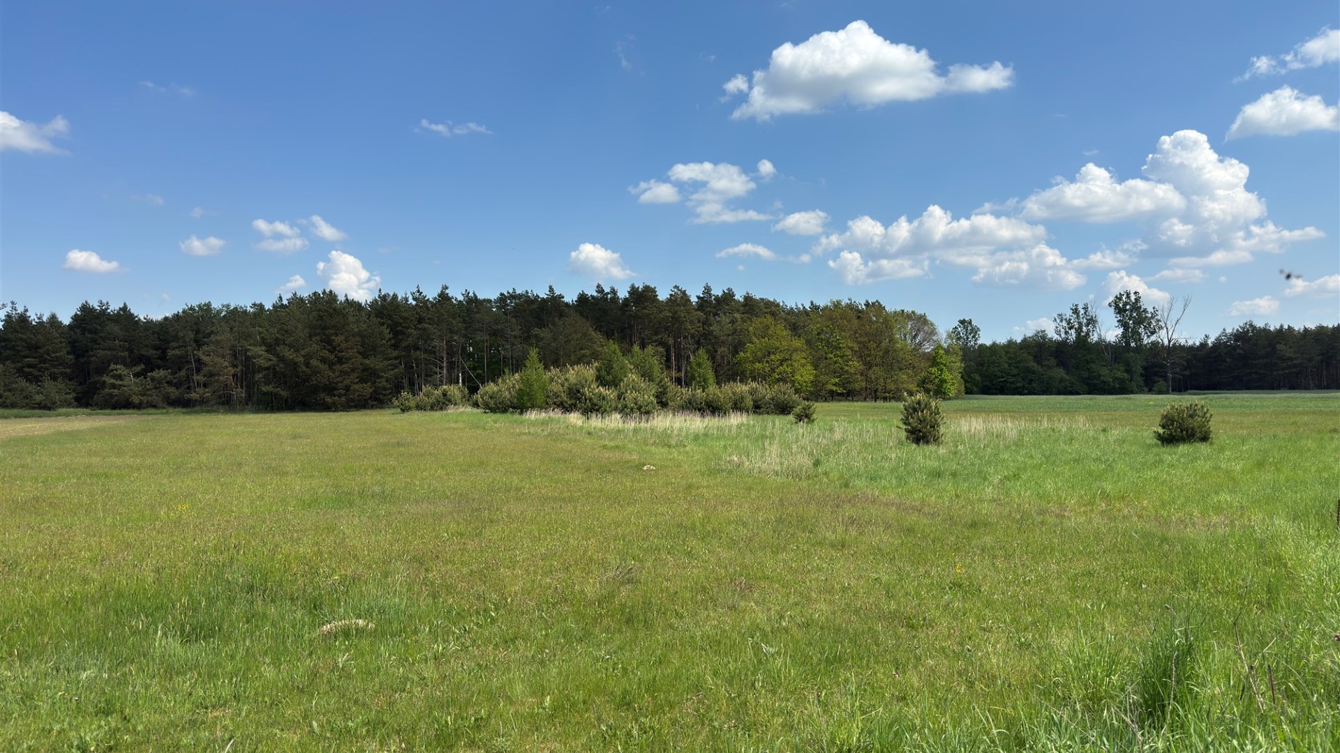 Działka na sprzedaż