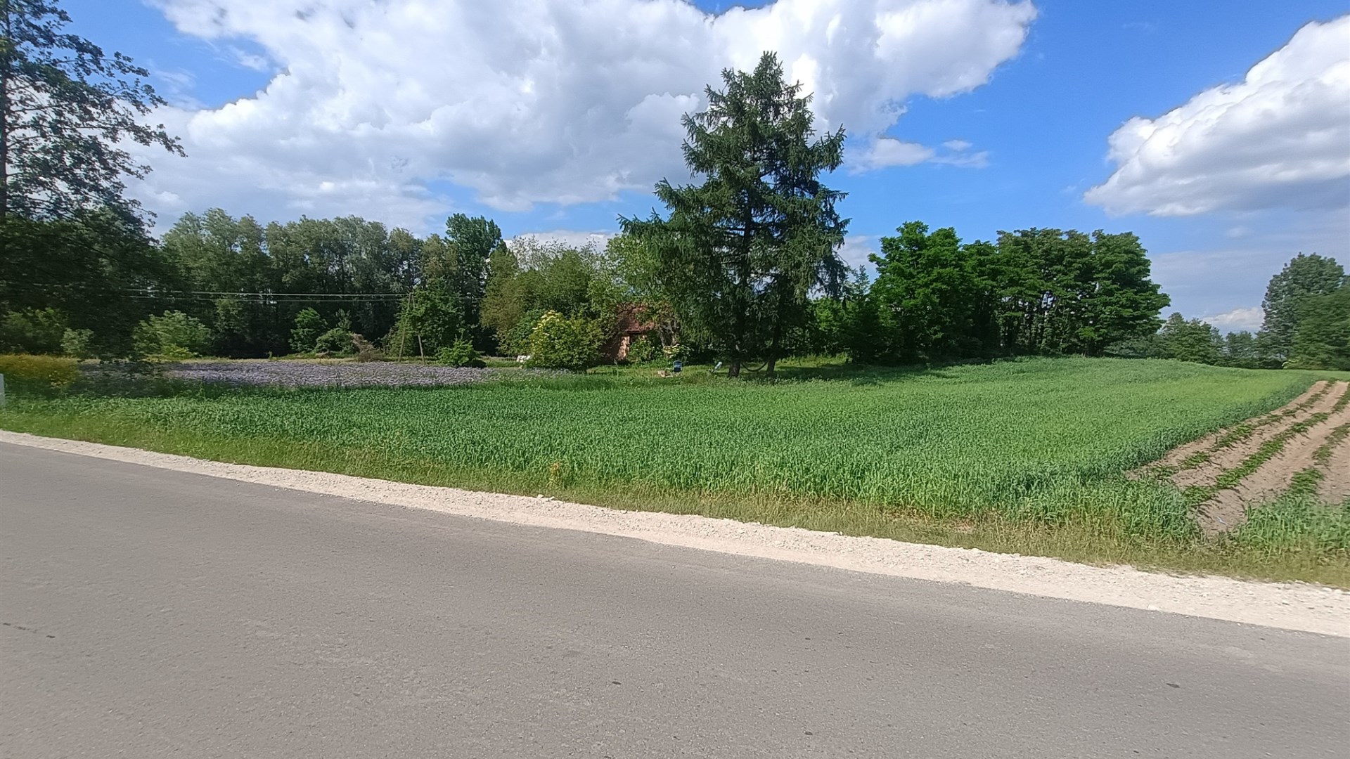 Działka na sprzedaż